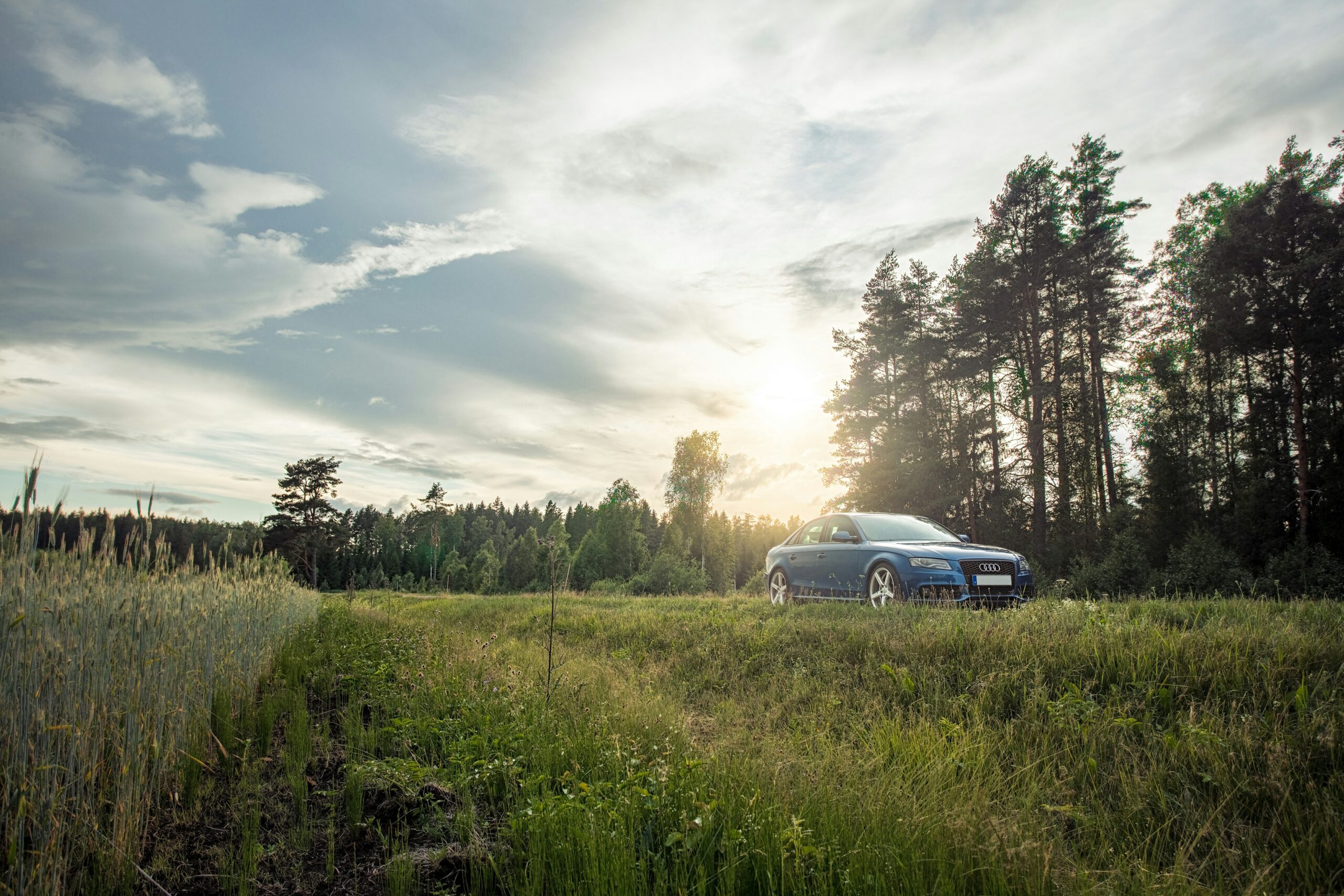 white car on green grass field near green trees under white clouds during daytime